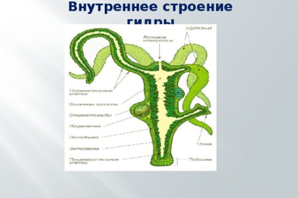 Кракен тор krakendark krakendark link