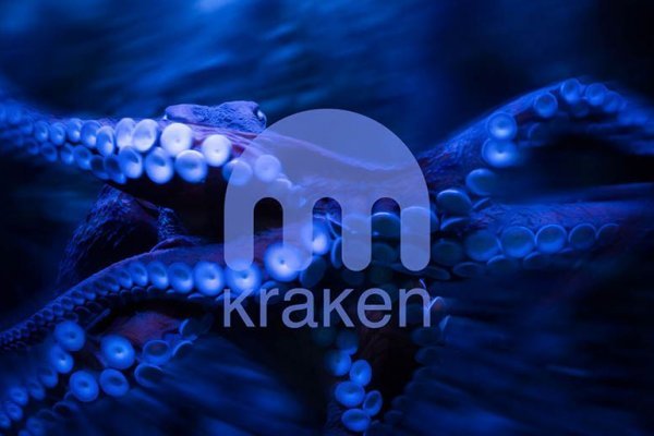 Kraken актуальное