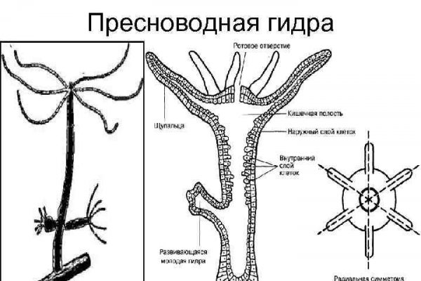 Что такое кракен маркет