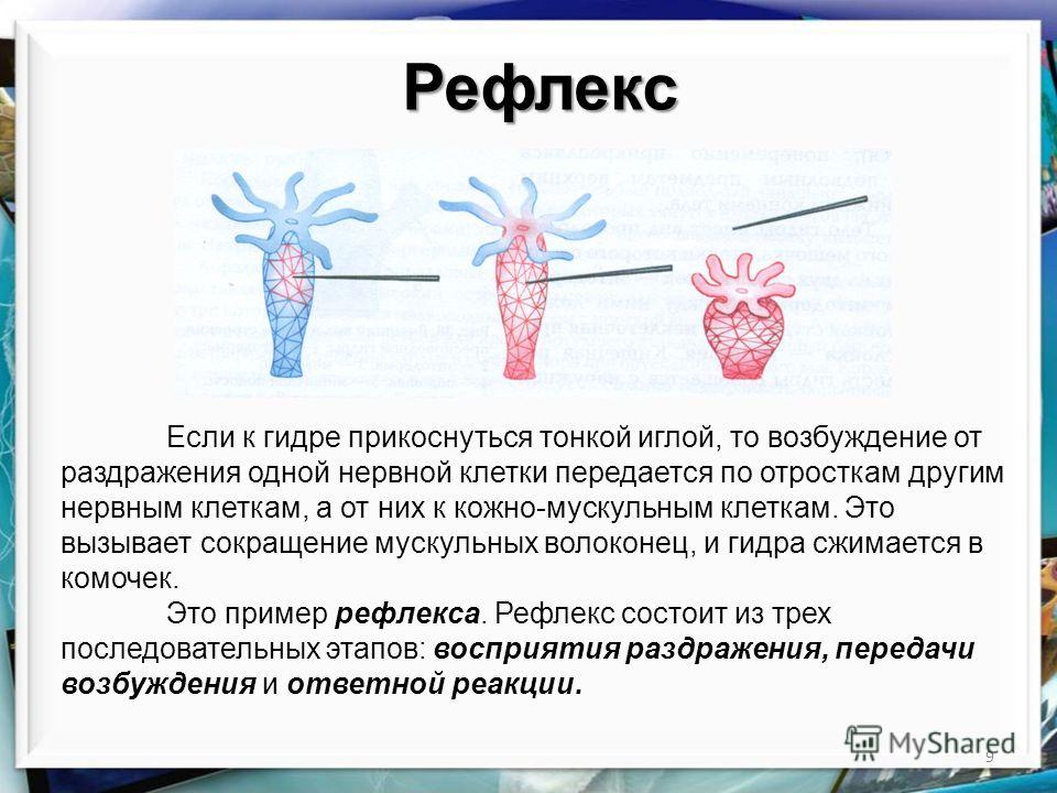 Кракен магазин kraken4am com